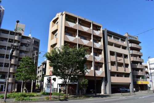 ルネス帝大マンション
